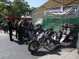 XVII Concentracion - 2010